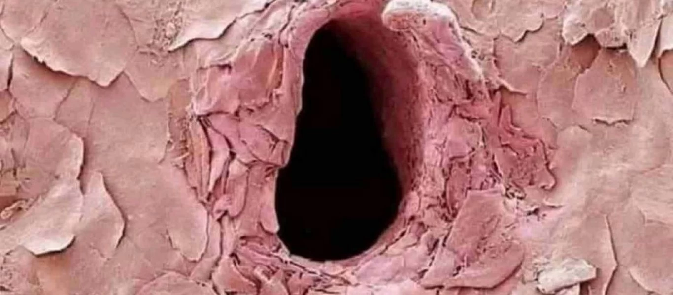 Εσύ καταλαβαίνεις τι αναπαριστά η εικόνα; (φωτο)